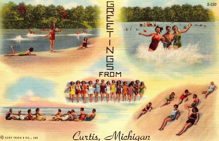 Curtis - Vintage Postcard